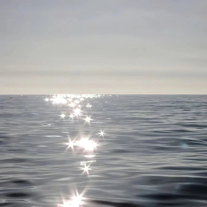 啊灬啊灬啊灬快灬高潮了抖音
