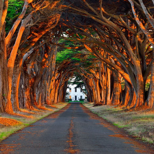 啊灬啊灬啊灬快灬高潮了抖音
