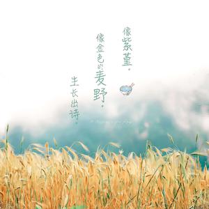 啊灬啊灬啊灬快灬高潮了抖音
